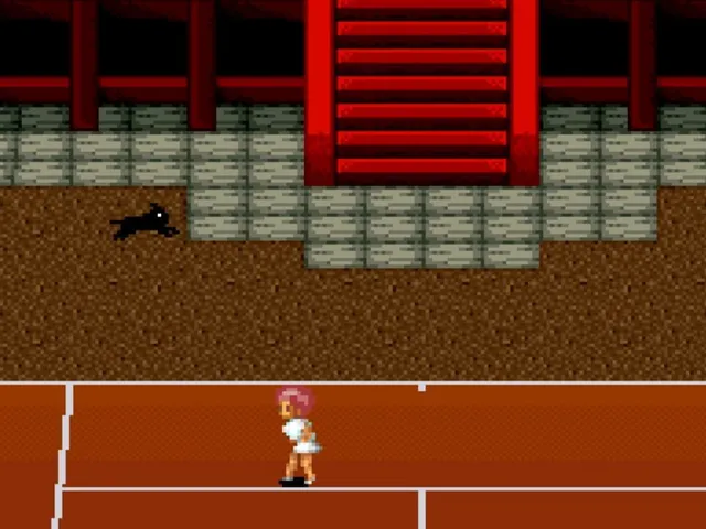 Smash Tennis