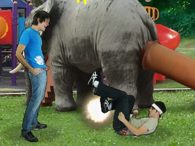 Smosh Fighter