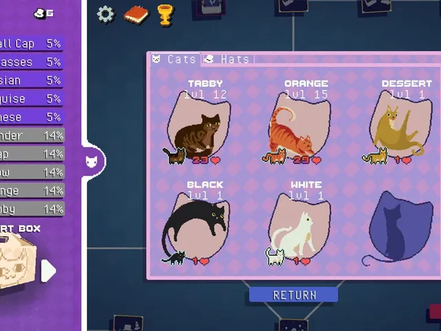 Snap the Cat