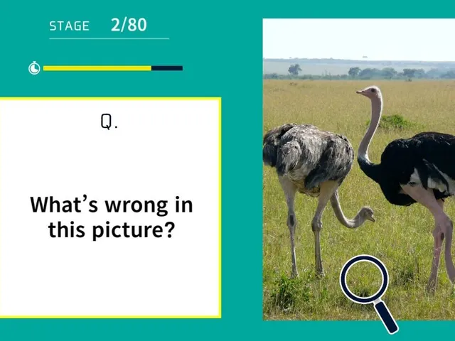 Snapshot Oddities! Find What's Wrong
