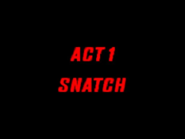 Snatcher