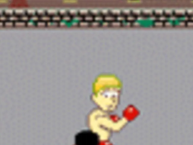 Snoop Dogg Boxing