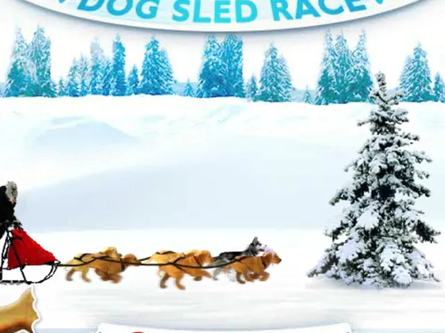 Snow Buddies: Dog Sled Race