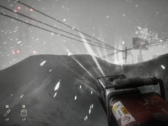 Snowed Under