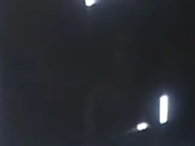 Solo