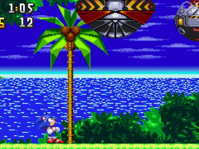 Sonic 3D in 2D