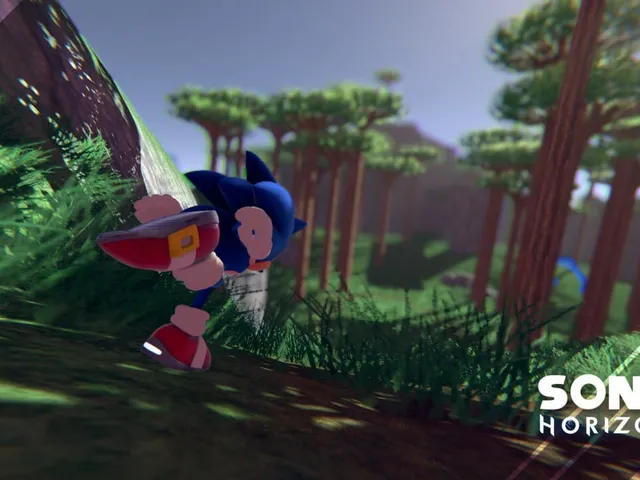 Sonic Horizons