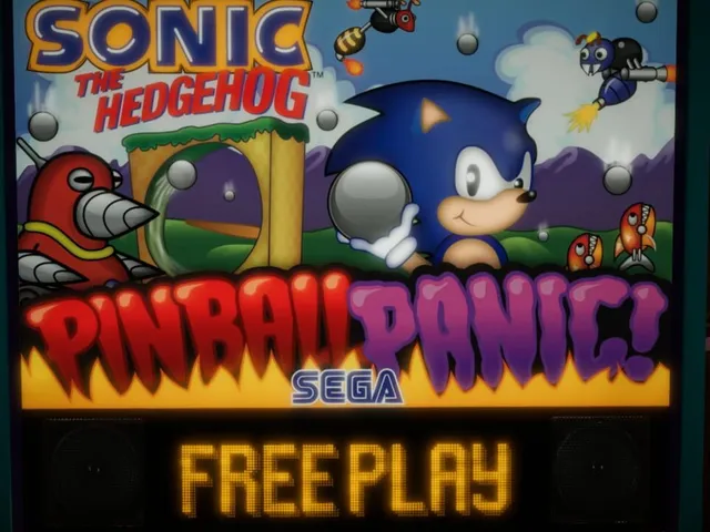 Sonic Pinball Panic!