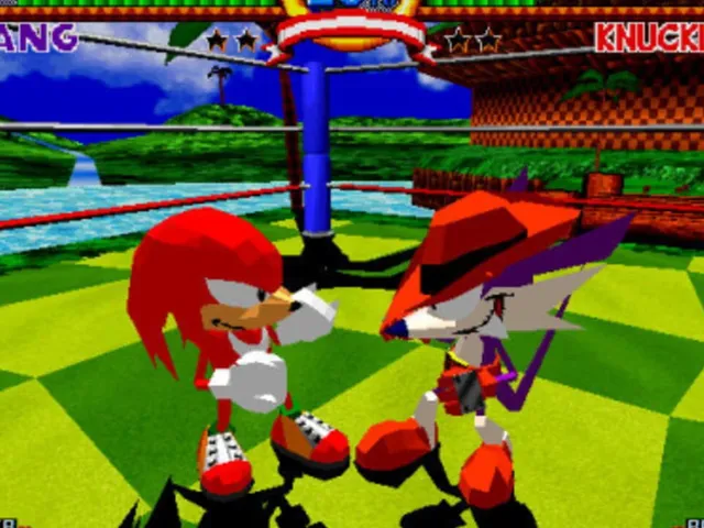 Sonic the Fighters