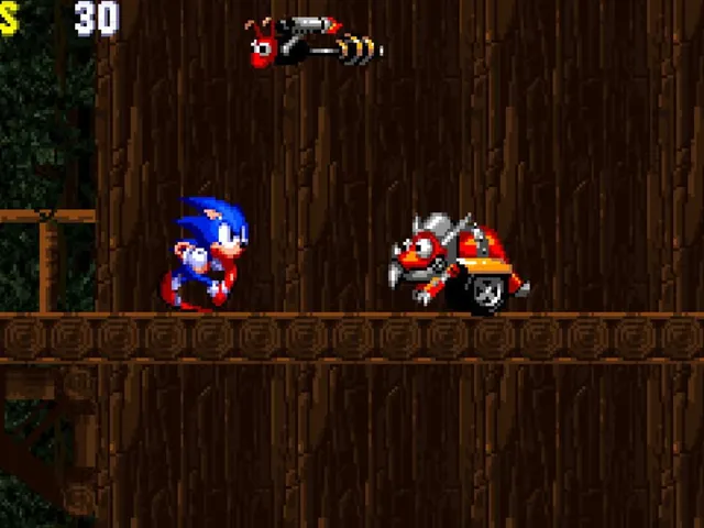 Sonic the Hedgehog XA
