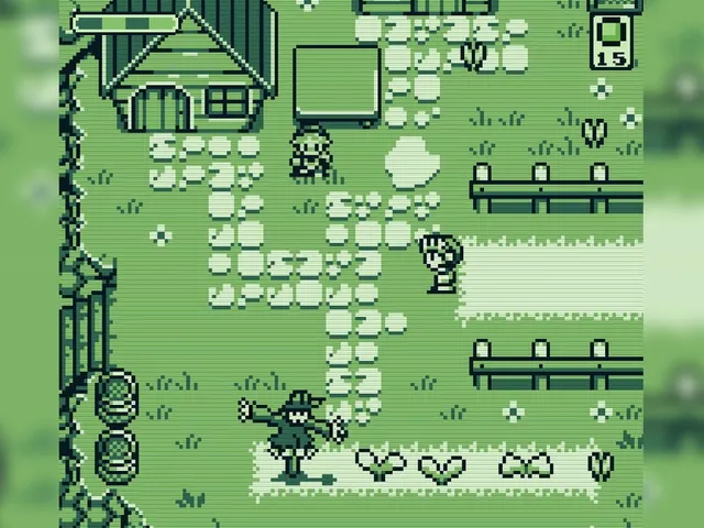 Soup Adventure