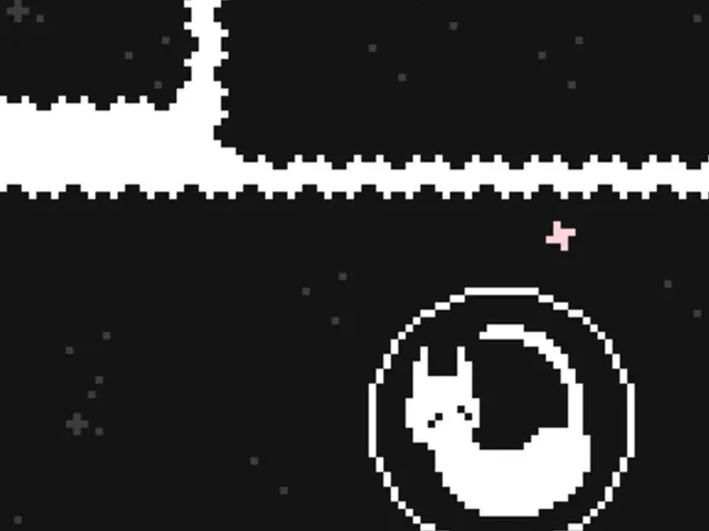 Space Bubble Cat