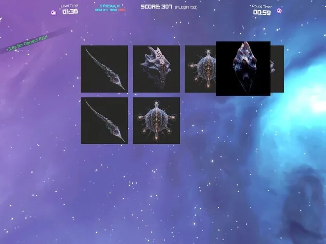 Space Memory TDG