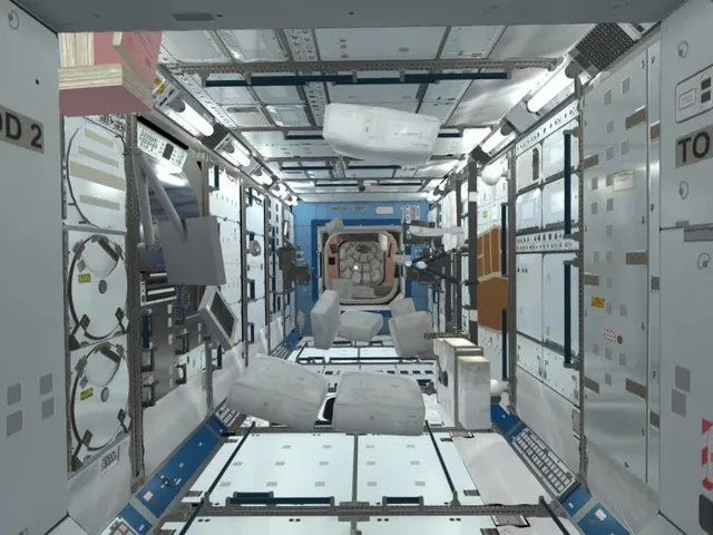 Space Science Investigations