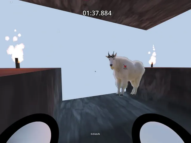 Spam Runner 2
