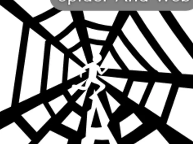 Spider and Web