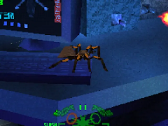 Spider: The Video Game