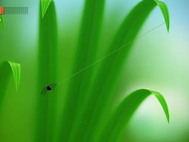 Spider Trouble