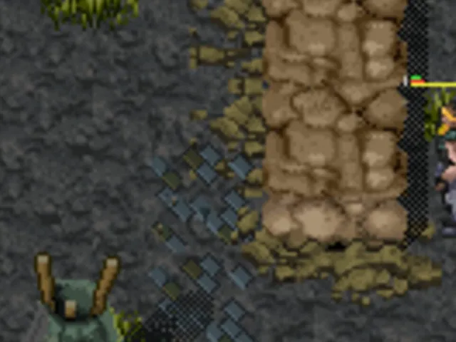 Stalker: The Way of Survival