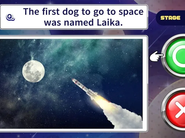 Star Quiz Airline Two-Choice Universe