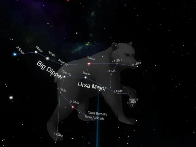 Stars
