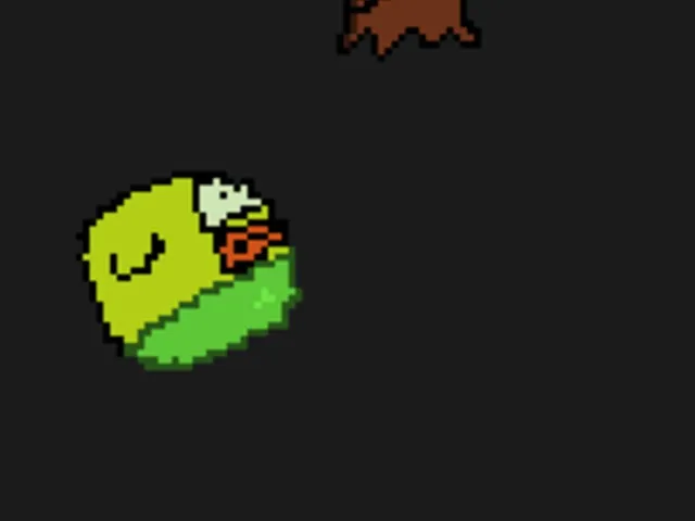 Stonga Bird
