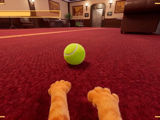 Strays POV Tales