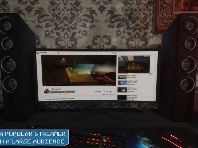 Streamer Simulator