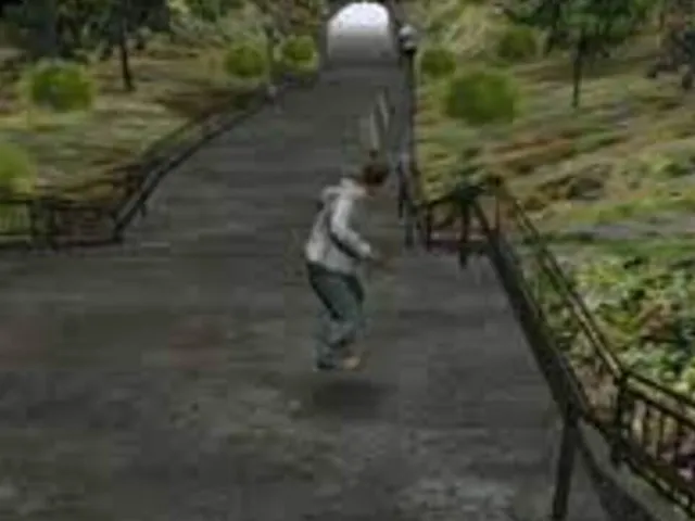 Street Sesh