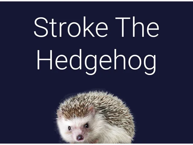 Stroke the Hedgehog