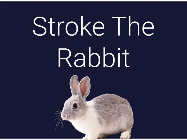 Stroke the Rabbit