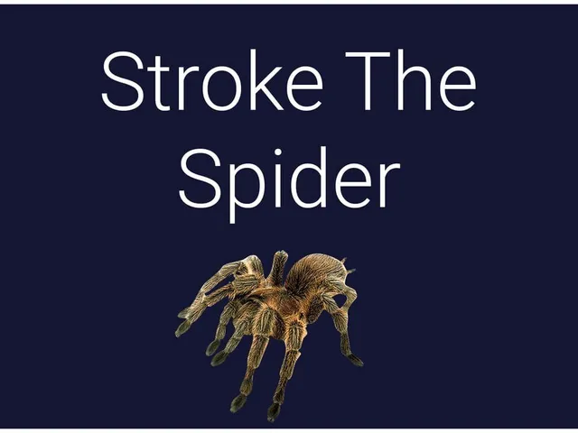 Stroke the Spider
