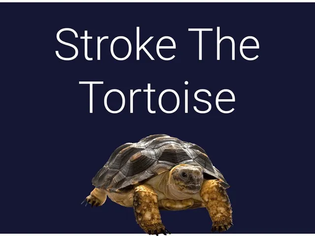 Stroke the Tortoise