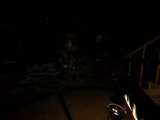 Subject 33