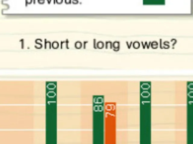 Successfully Learning German: Year 5