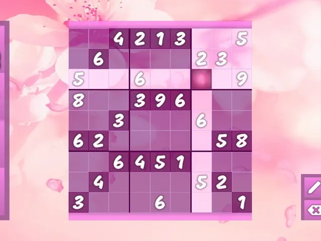 Sudoku Casual Puzzle