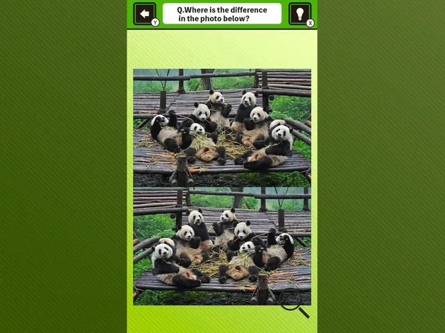 Super Kawaii! Finding Mistakes in Panda Photos