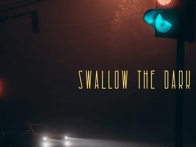 Swallow the Dark