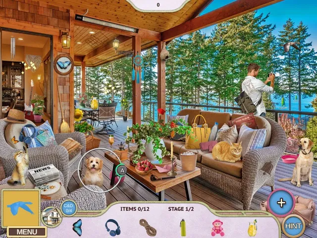 Sweet Home 2: Look and Find - Collector's Edition