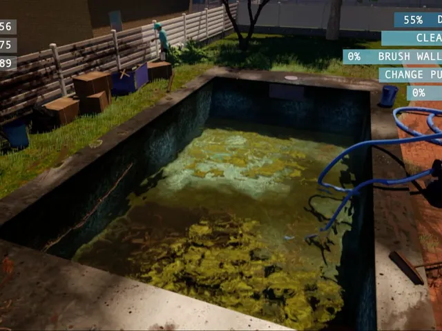 Swimming Pool Cleaner