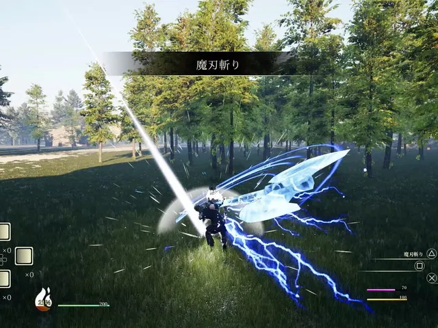 Sword Collector