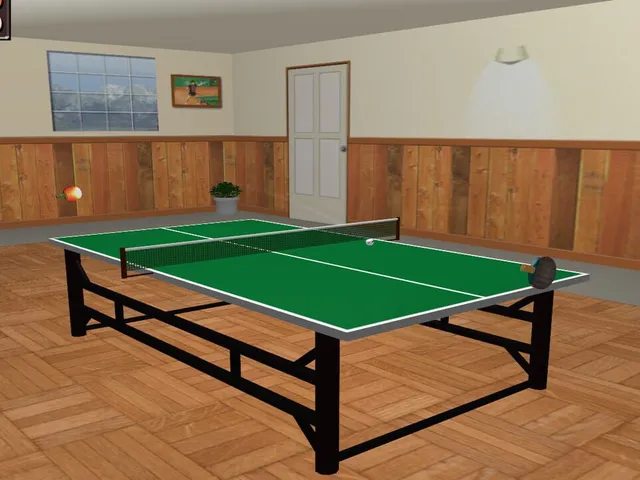 Table Tennis Pro