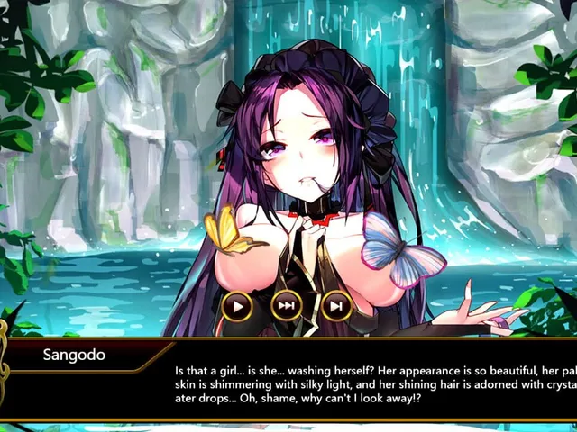 Tactics & Strategy Master 2: Princess of Holy Light