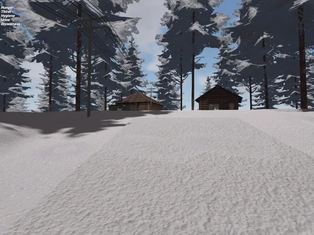 Taiga