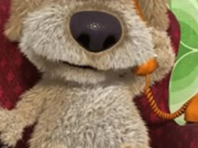 Talking Ben the Dog