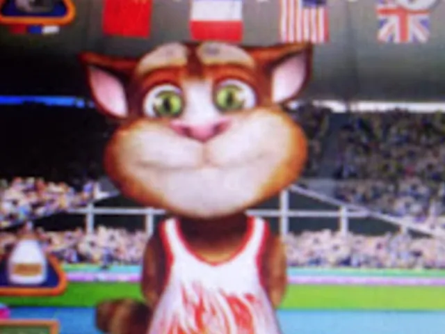 Talking Tom 3 in Olympics