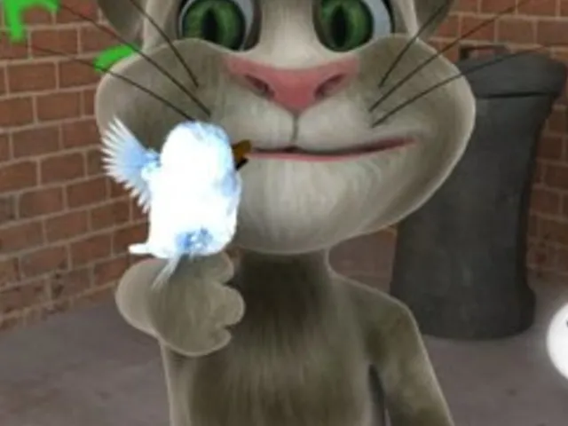Talking Tom Cat