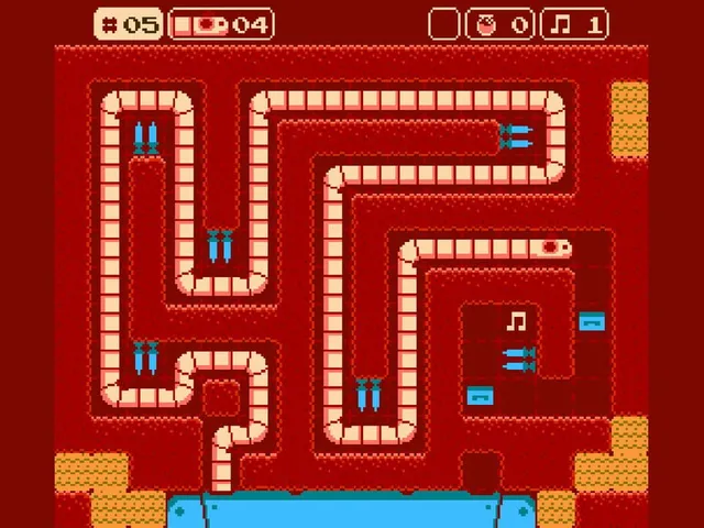 Tapeworm Disco Puzzle