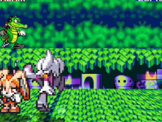 Team Sonic Fighters