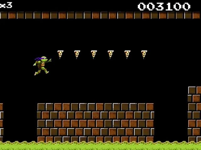 Teenage Mutant Ninja Turtles: Donnie Saves a Princess